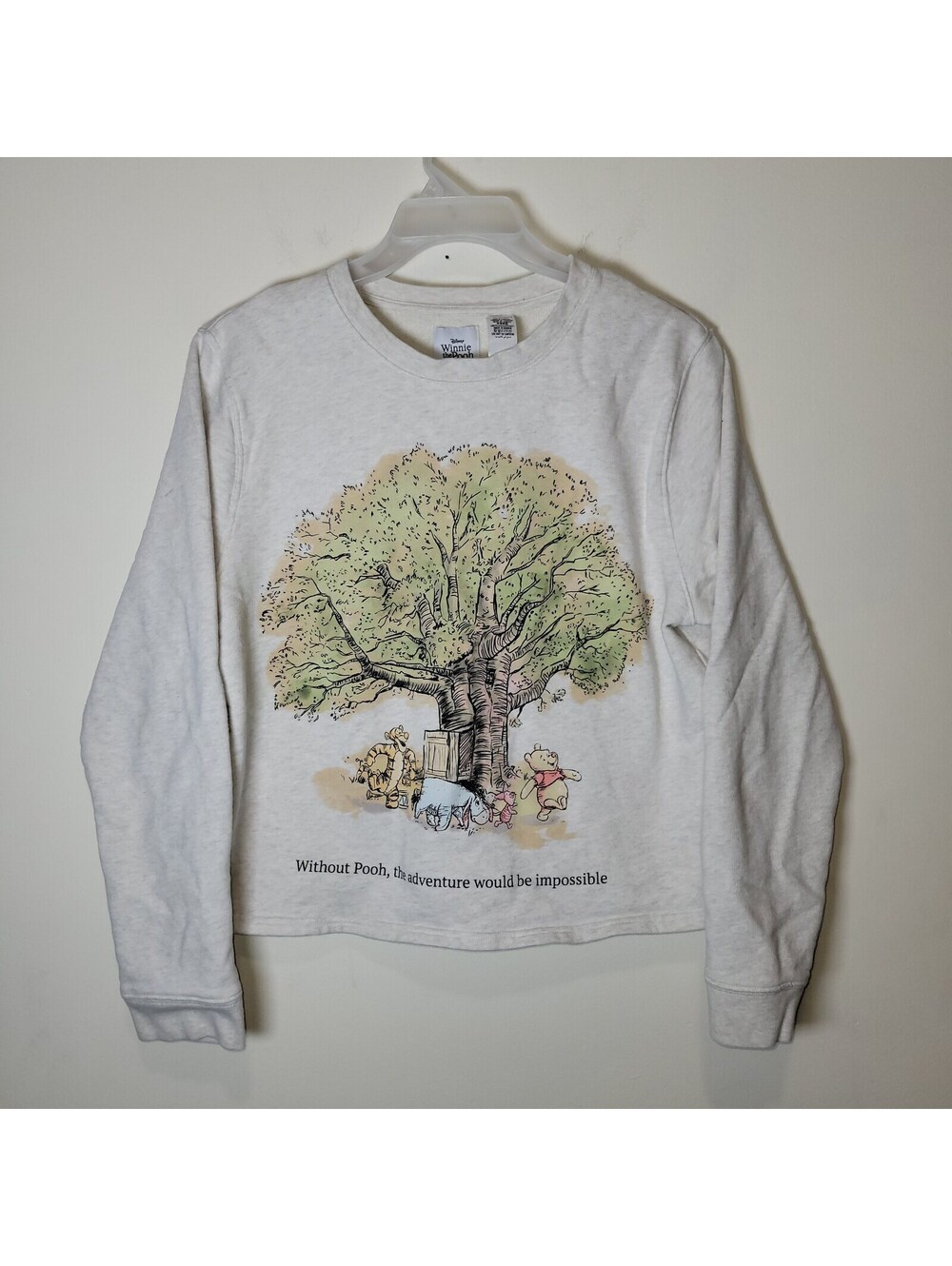 Disney Parks Winnie the Pooh XL Sweatshirt Gray Crewneck Tree Tigger Eeyore READ